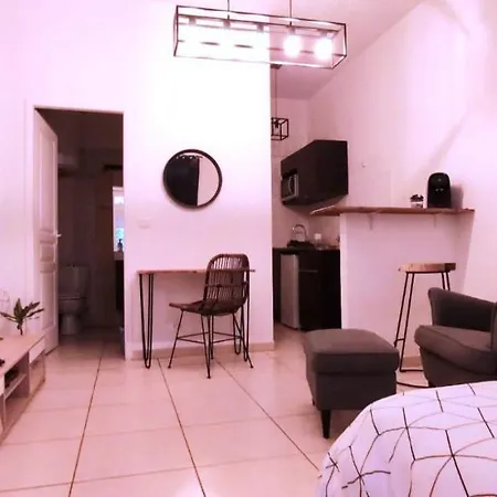 Apartament Le Studio Du 21 *